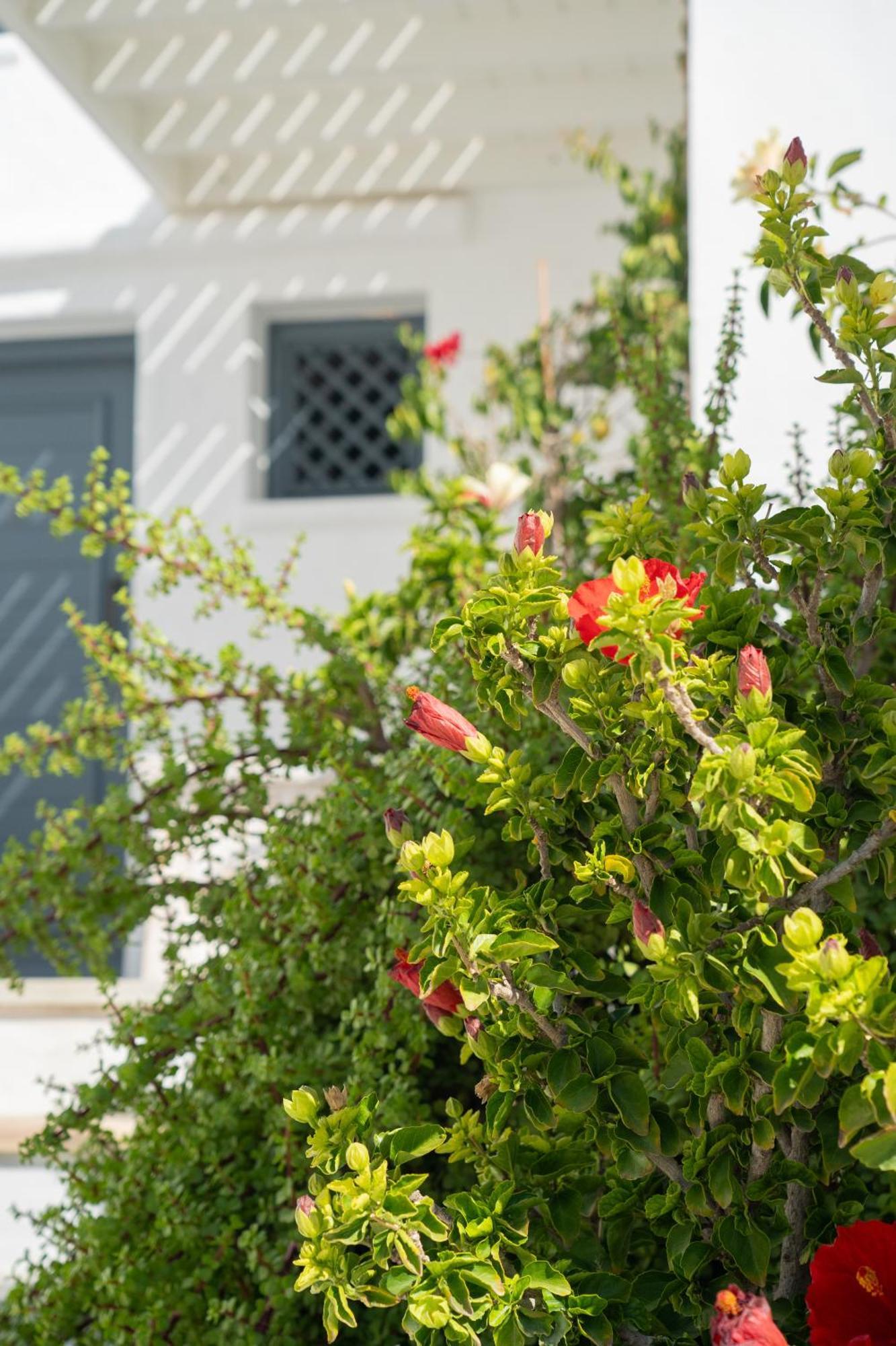 5 Traditional Suites Livadi  Exterior foto